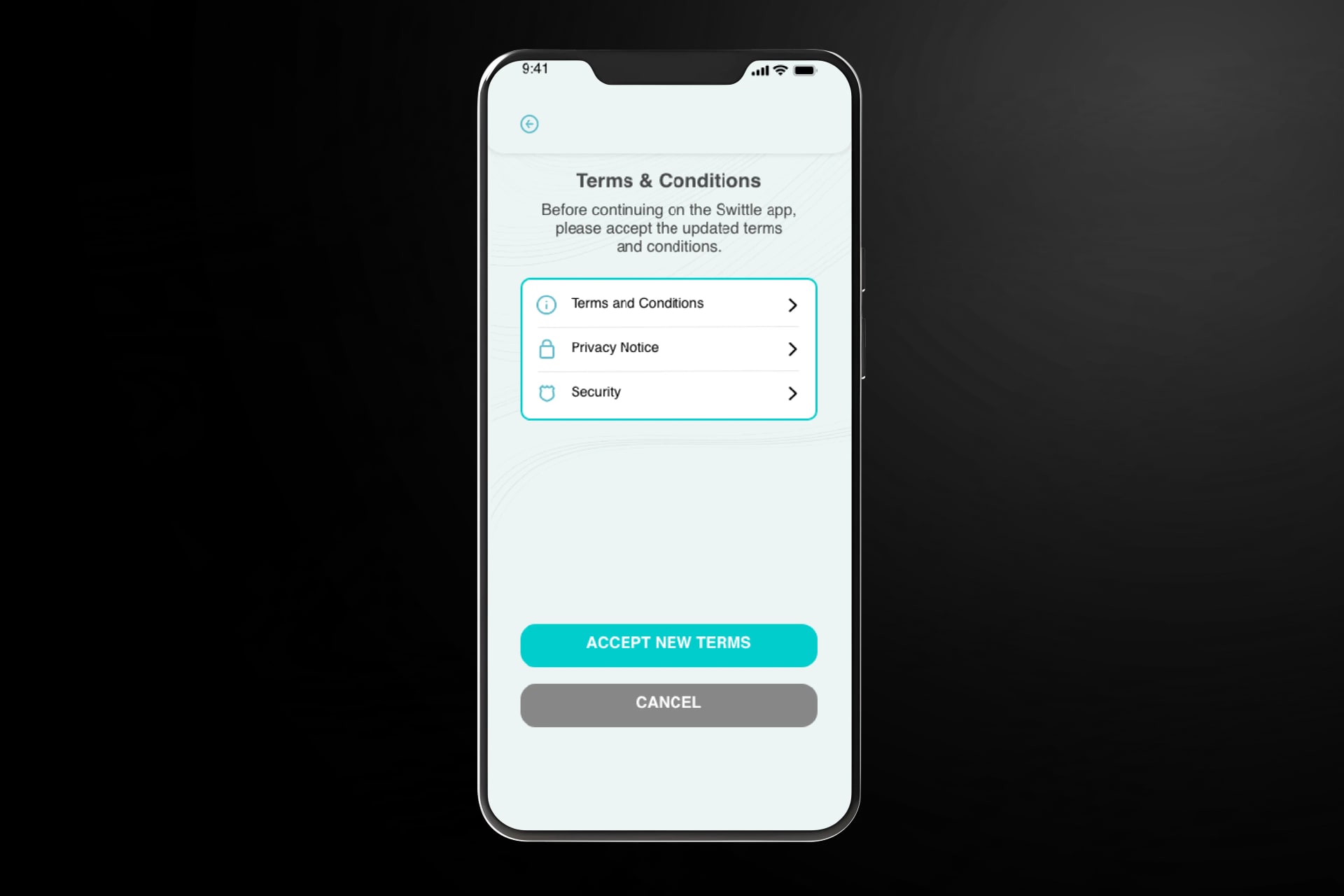 Swittle — screen 3